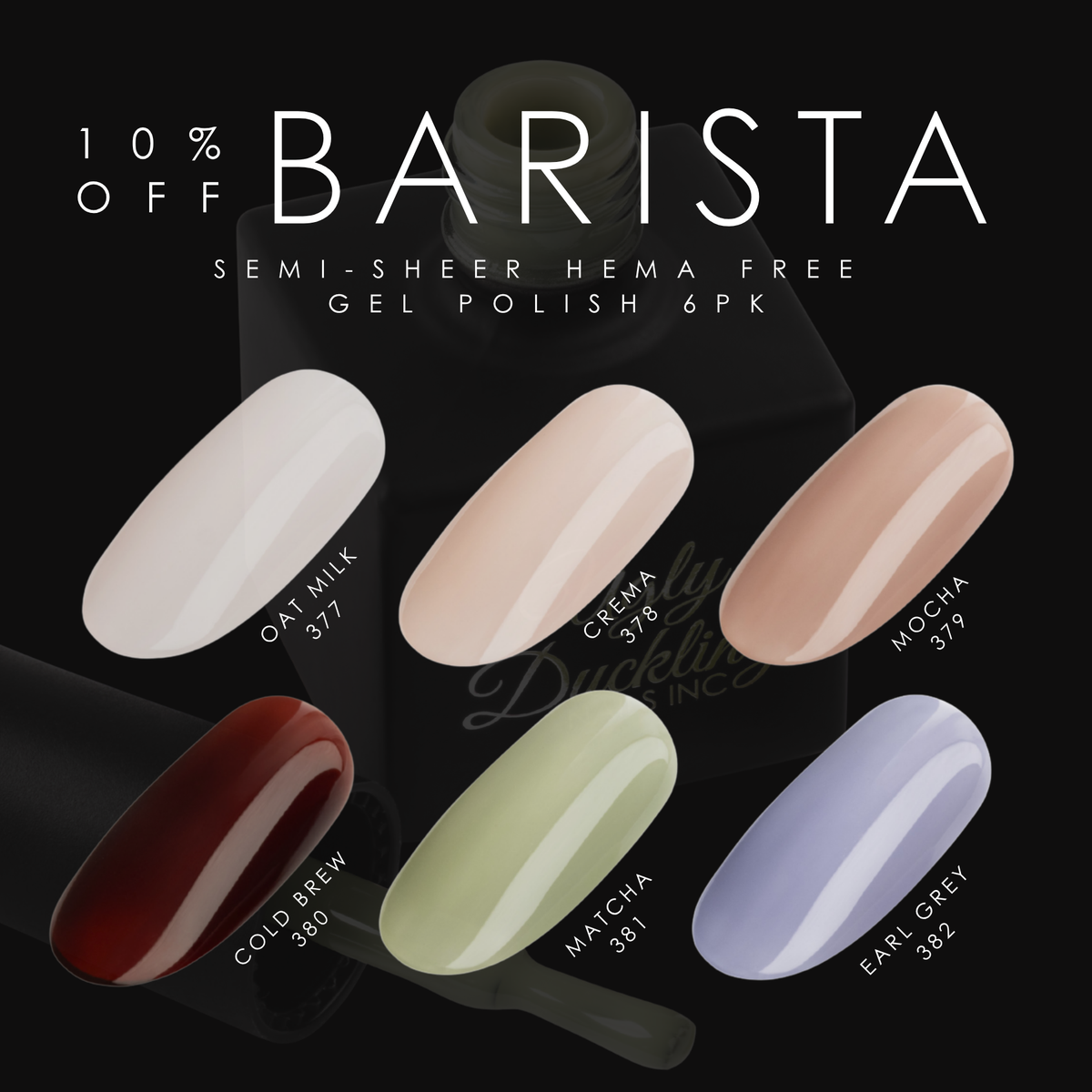Barista 6pk Collection