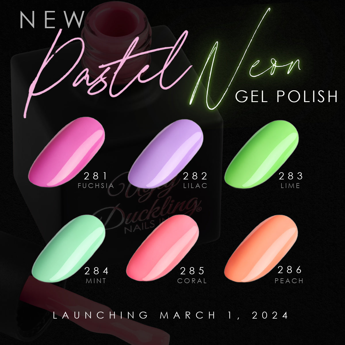 Spring 2024 Pastel Neon Collection 6PK