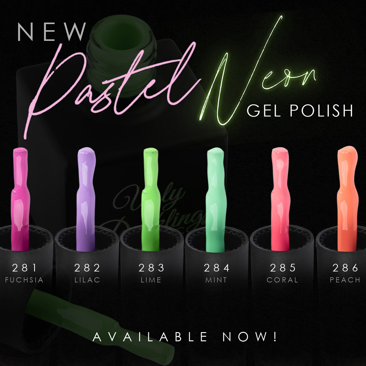 Spring 2024 Pastel Neon Collection 6PK