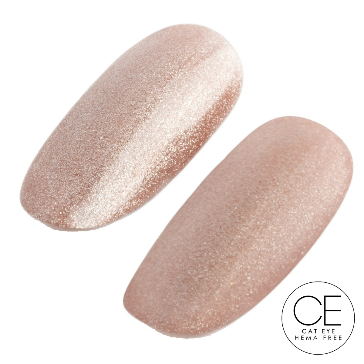 Black Tie 6pk Collection