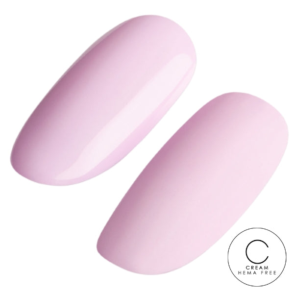 Macaron 6pk Collection