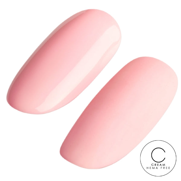 Macaron 6pk Collection