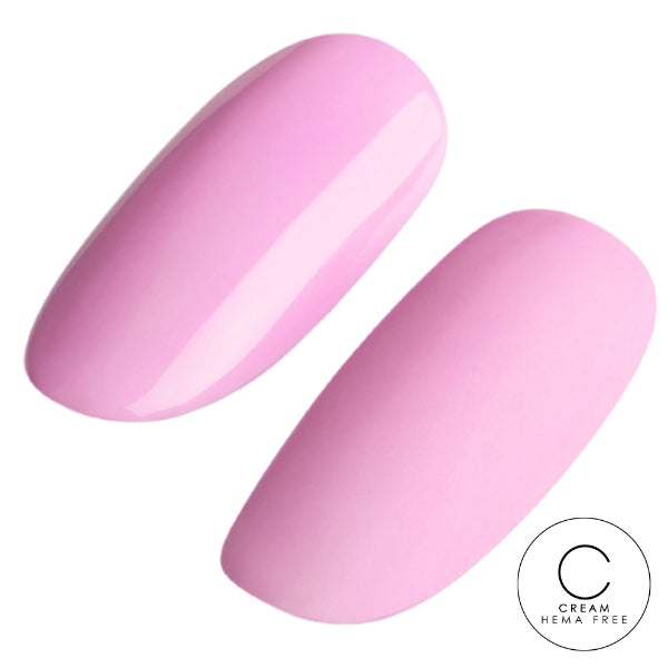 Macaron 6pk Collection