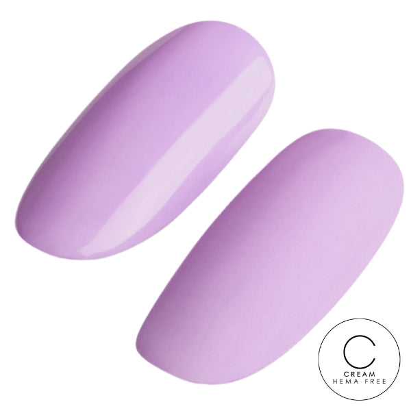 Macaron 6pk Collection