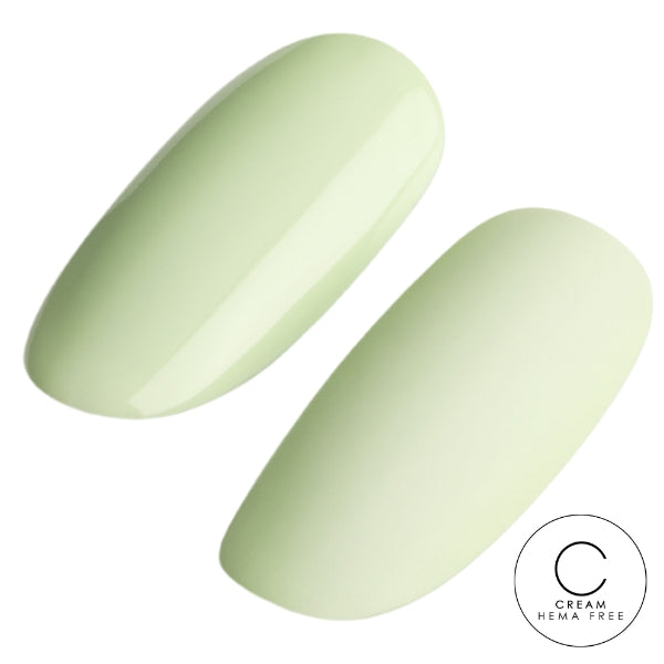 Macaron 6pk Collection